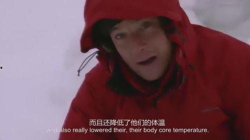 十五天就玩完,揭秘游戏终结背后的秘密