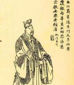 谁说我是扶不起的阿斗(摊牌了我真不是败家子),揭秘我不是败家子的真实身份