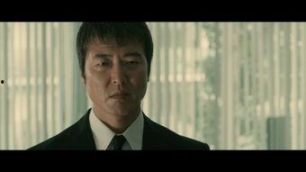 流浪者年代记,漂泊岁月中的心灵轨迹