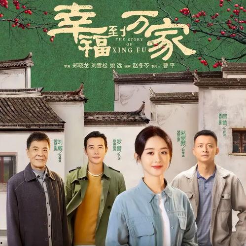 幸福到万家,农村变迁中的家庭奋斗与梦想